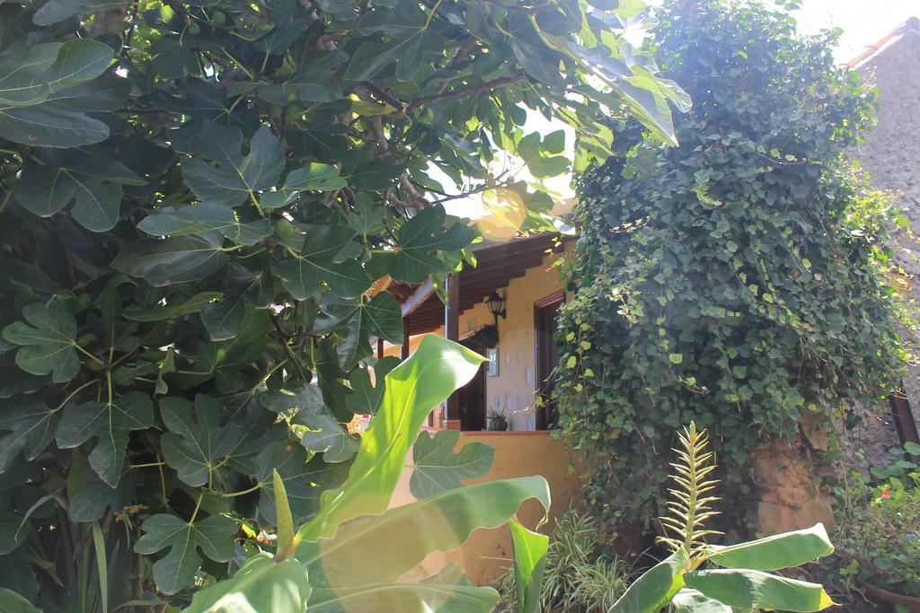 Agulo Casa Rural Las Rosas חדר תמונה