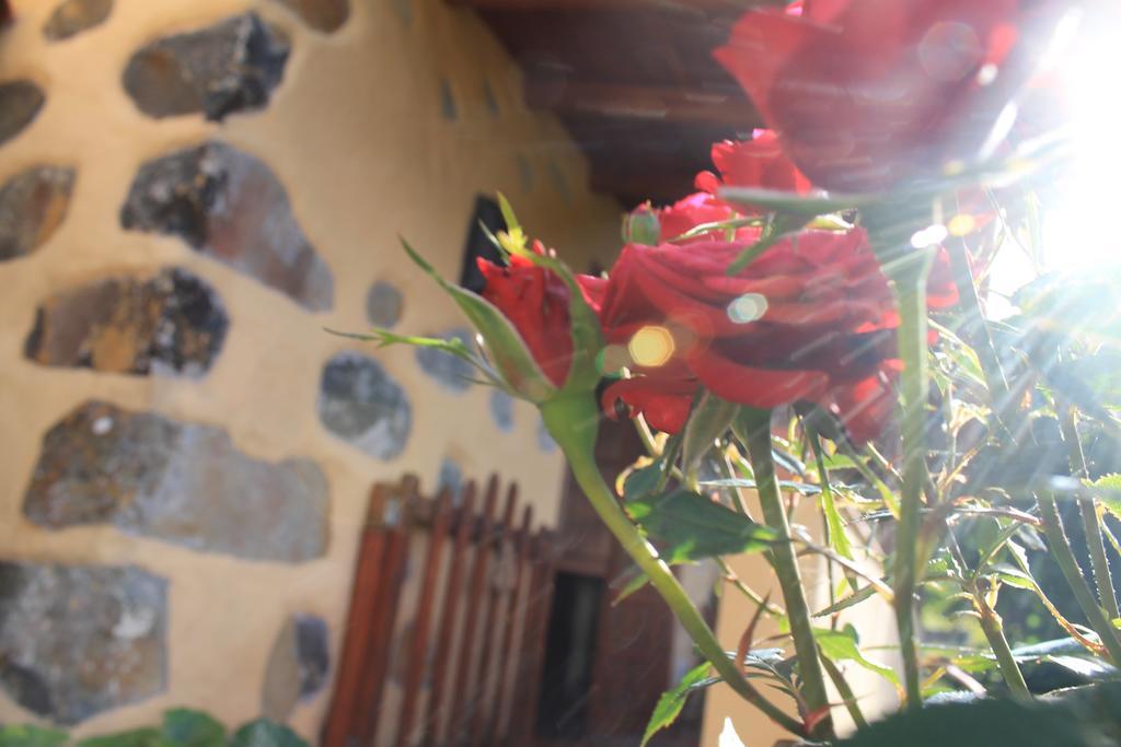 Agulo Casa Rural Las Rosas מראה חיצוני תמונה