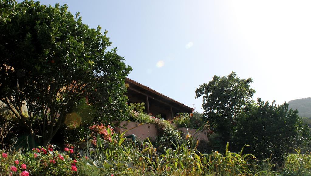 Agulo Casa Rural Las Rosas מראה חיצוני תמונה